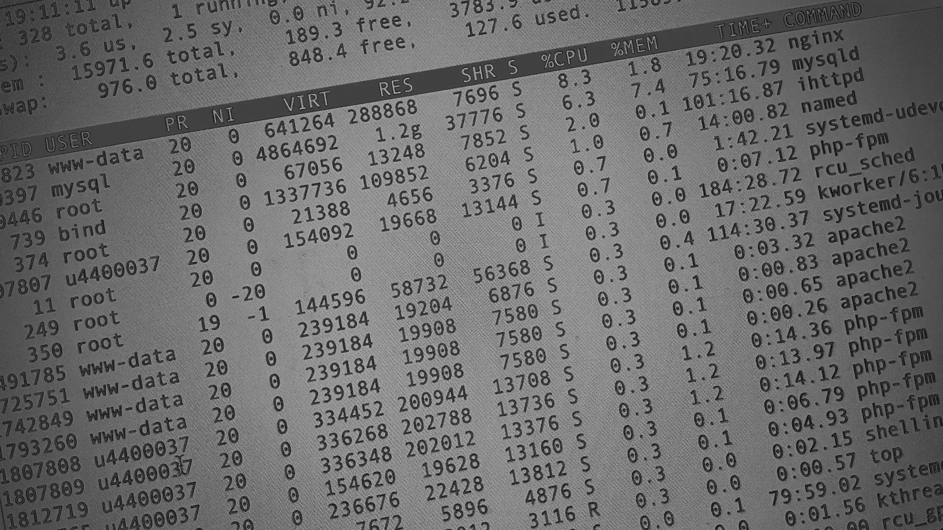 Настройка сервера в Зубцове