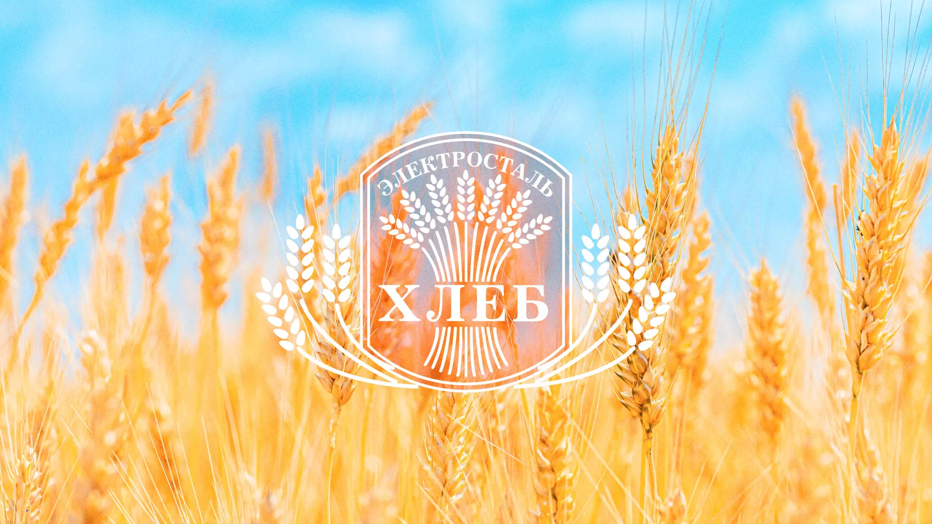 Создание сайта для хлебзавода в Зубцове