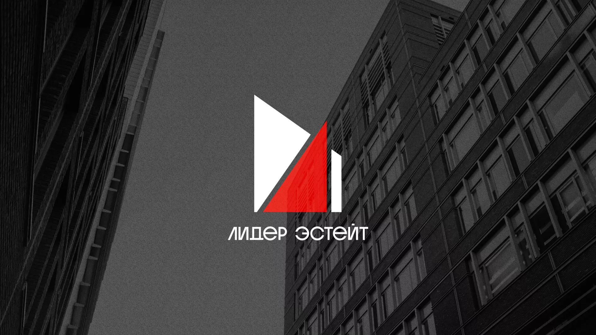 Сделали логотип для агентства недвижимости «Лидер Эстейт» в Зубцове
